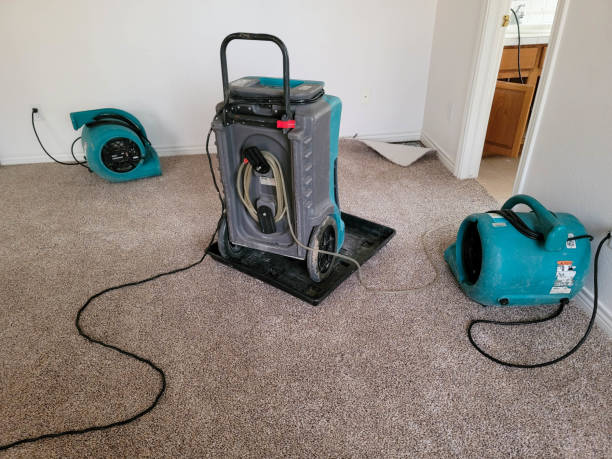 Best Water damage contractors near me  in Catonsville, MD