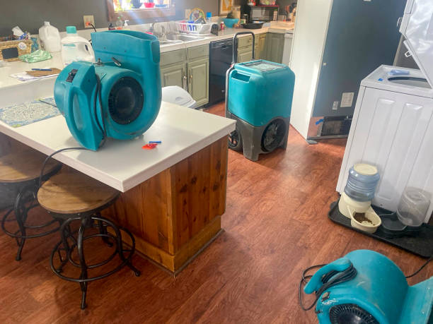 Water damage restoration mold remediation in Catonsville, MD
