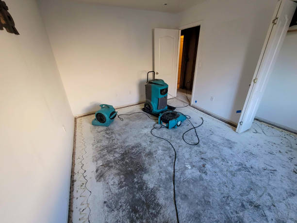 Best Water damage restoration near me  in Catonsville, MD