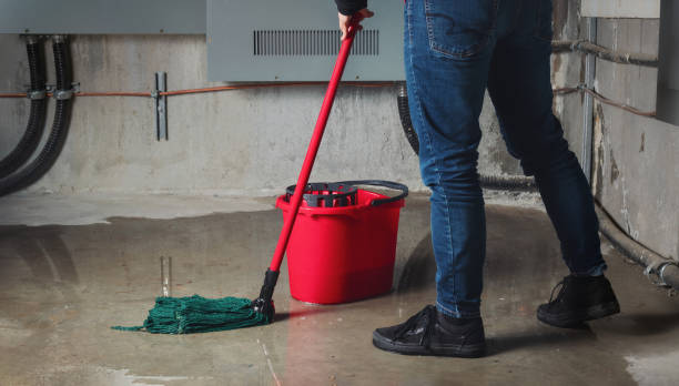 Best Mold removal after water damage  in Catonsville, MD