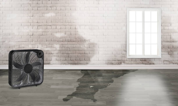 Best Basement water damage restoration  in Catonsville, MD