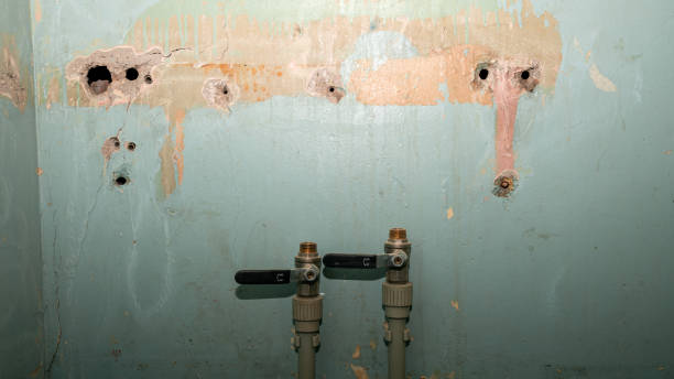 Best Commercial water damage restoration  in Catonsville, MD